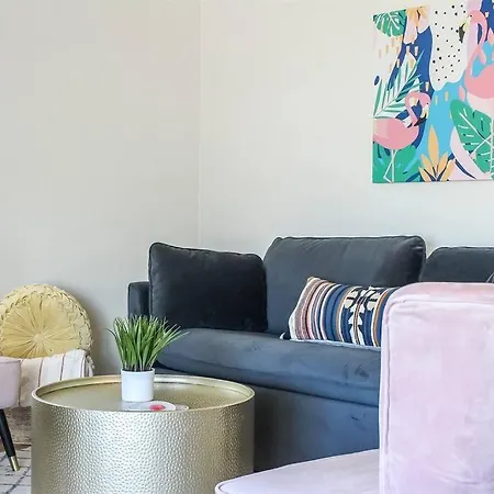 Newly Remodeled Midcentury Pink Flamingo Casa-3